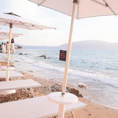 Azar Luxury فلورا